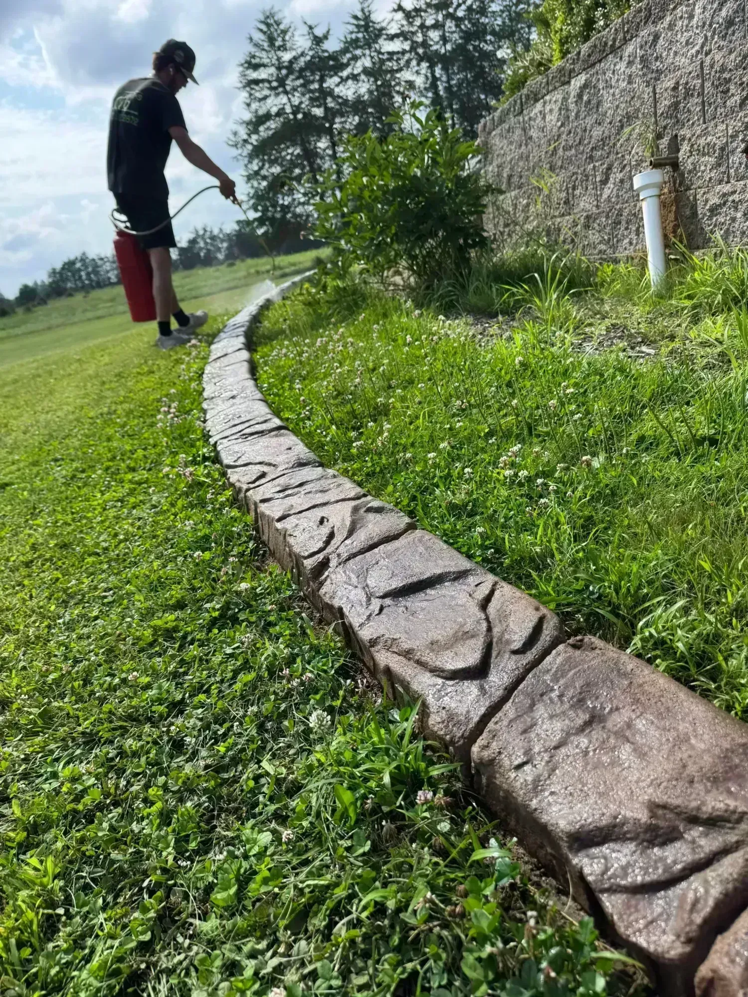 Tree Ring Borders in Rhinelander